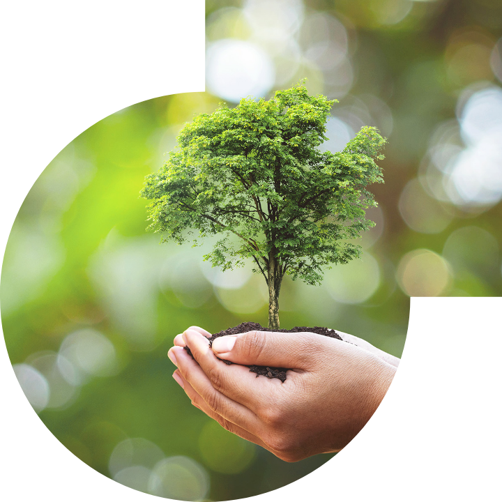 关怀人类、文化、环境与社会