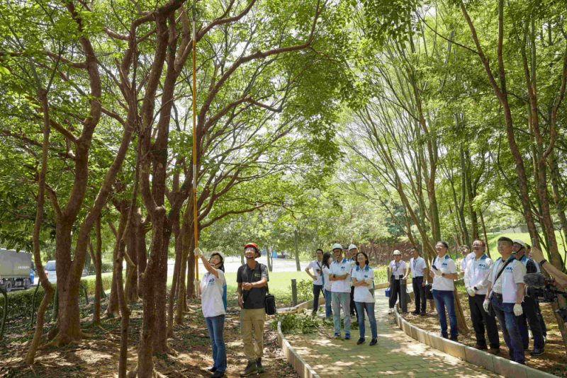 藝師教導大家認識樹木、檢查樹的健康狀況，學習修枝及碎枝覆土