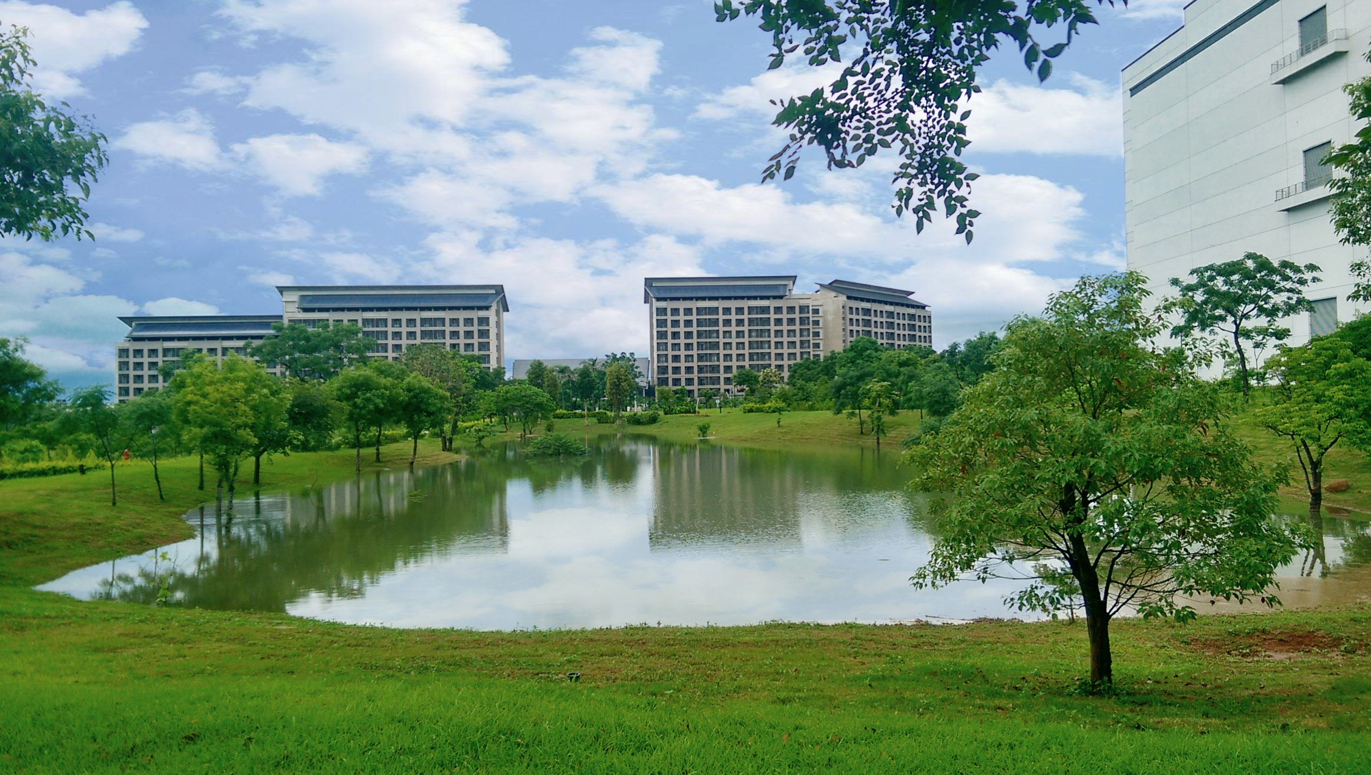 YY易游m6米乐响应国际倡议生物多样性趋势，首次发布TNFD自然相关财务揭露报告书，擘划及开展YY易游m6米乐生物多样性政策之承诺，逐步迈向与自然和谐共生