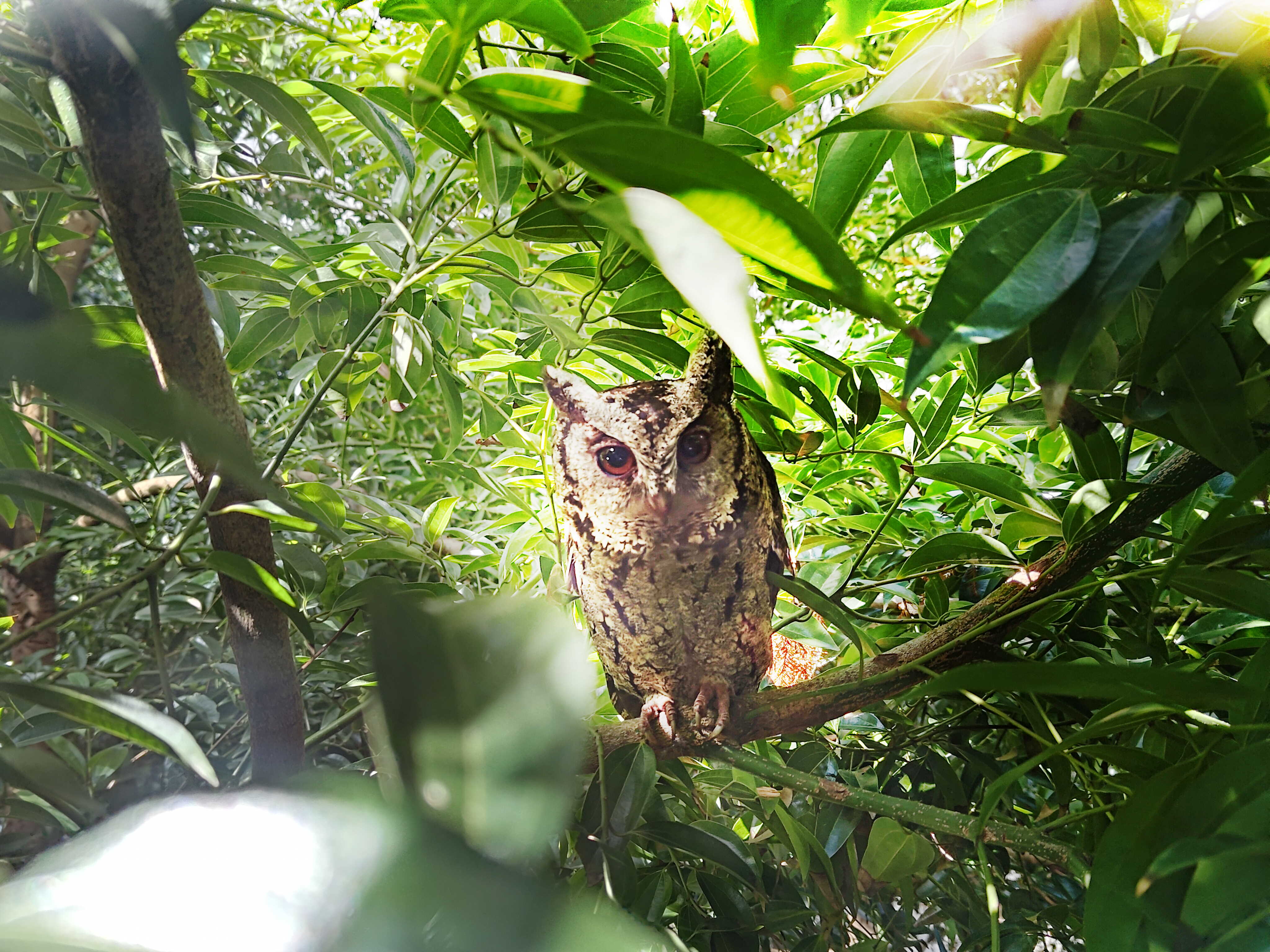 YY易游m6米乐致力提倡净零绿生活，16年以来在全球各厂区植树逾百万棵，造就各厂区树木蔚然成林，犹如森林工厂，成为许多生物的栖息地